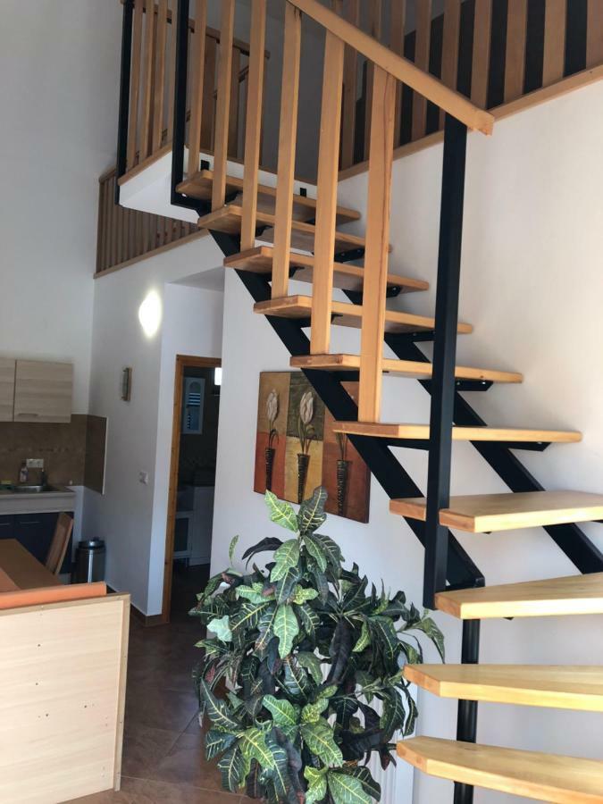 S'Schnoganeschd Villa Nemesvid Luaran gambar